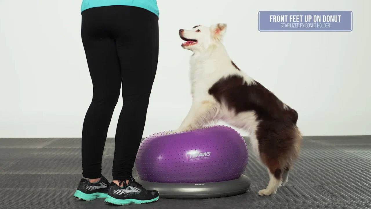FitPaws TRAX™ Donut