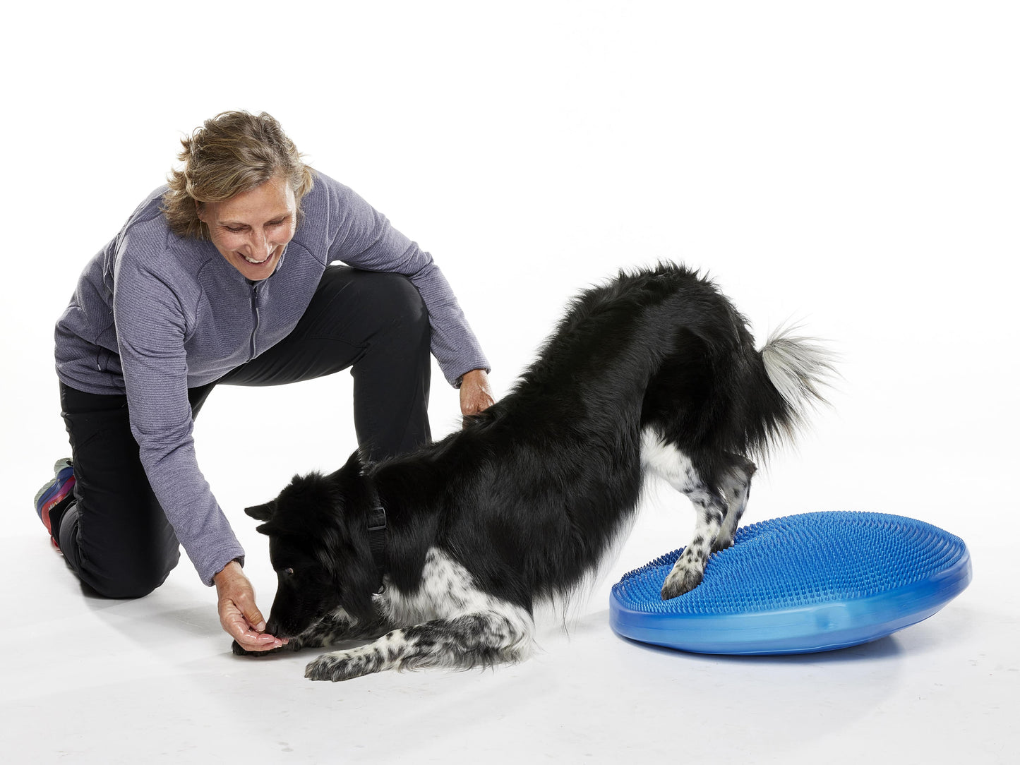 FitPaws Balance Discs (14" or 22")