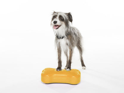 Mini K9FITbone Balance Training Platform Mango