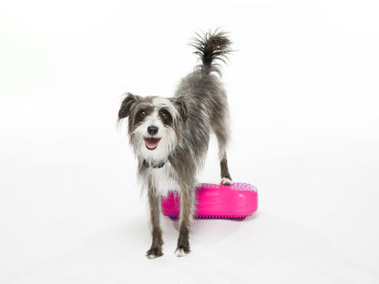 Mini K9FITbone Balance Training Platform Razzleberry