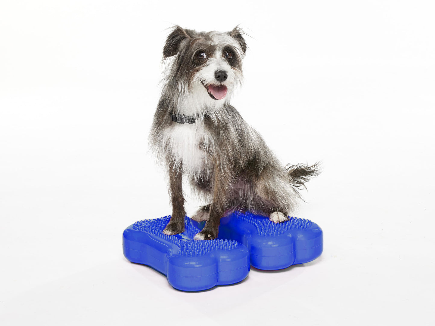 Mini K9FITbone Balance Training Platform (Set of 2)