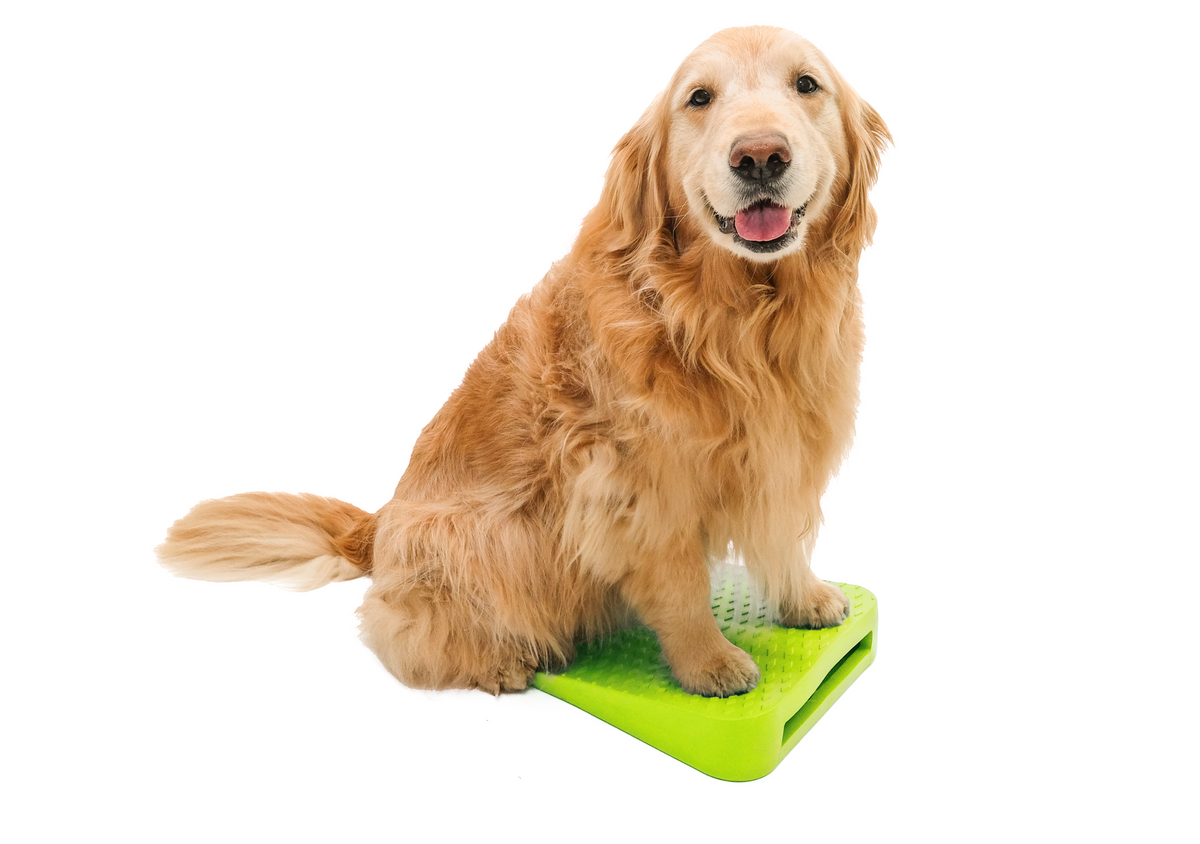 FitPaws Balance Ramp