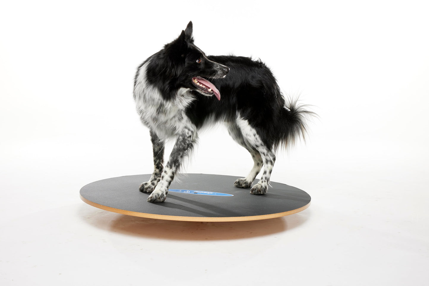 FitPaws Wobble Board, Dog Balance Training Platform Size 36