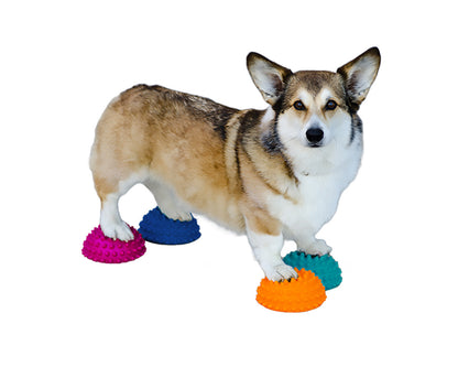 FitPaws Paw Pods, Anti-Skid Bottom (Set of 4)