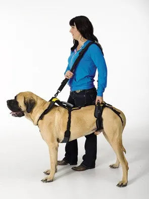 Walking Leash/Shoulder Strap