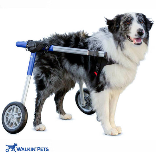 Walkin' Wheels MEDIUM Dog Wheelchair